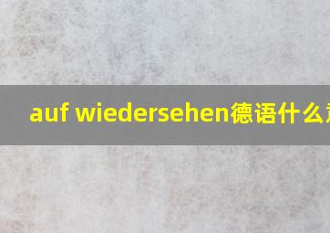 auf wiedersehen德语什么意思